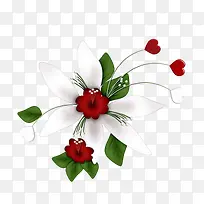 白色百合花-空若网 白色百合花-空若网