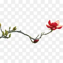 树枝花瓣盛开红色花朵-空若网 树枝花瓣盛开红色花朵-空若网