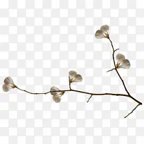 树枝红色花瓣树枝-空若网 树枝红色花瓣树枝-空若网