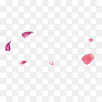 ������Ӱ��ɫ�Ļ���-������