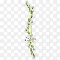 白色花瓣红色花瓣-空若网 白色花瓣红色花瓣-空若网