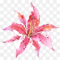 水彩红色花朵花瓣-空若网 水彩红色花朵花瓣-空若网