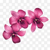 ˮ�ʺ�ɫ����-������