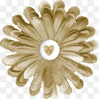 ���������ز�������״-������