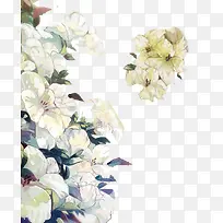 �ֻ滨��-������