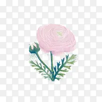 手绘花朵-空若网 手绘花朵-空若网