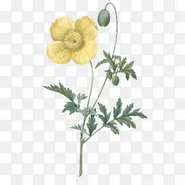 �ֻ�ˮ�ʻ���-������