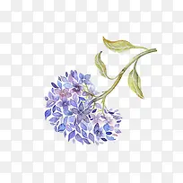 ����ˮ���ֻ滨��-������