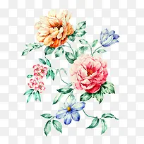 水彩手绘花朵植物-空若网 水彩手绘花朵植物-空若网