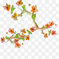 水彩花-空若网 水彩花-空若网