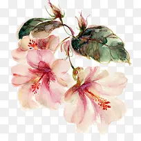 ˮ�ʻ�-������