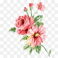 ˮ�ʻ�-������