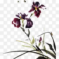 手绘兰花-空若网 手绘兰花-空若网