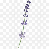 Þ¹Ò²Ý-¿ÕÈôÍø Þ¹Ò²Ý-¿ÕÈôÍø