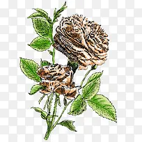 手绘分层水彩花朵-空若网 手绘分层水彩花朵-空若网