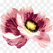 �ֻ�ˮ����ƻ���-������