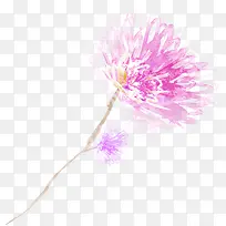 紫色水彩花朵手绘-空若网 紫色水彩花朵手绘-空若网