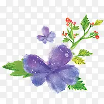 手绘水彩紫色花朵-空若网 手绘水彩紫色花朵-空若网