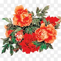 �ֻ�ˮ�ʸ��Ż���-������