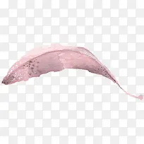 手绘粉色树叶水彩-空若网 手绘粉色树叶水彩-空若网