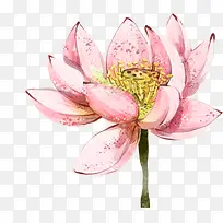 粉色水彩花朵装饰-空若网 粉色水彩花朵装饰-空若网
