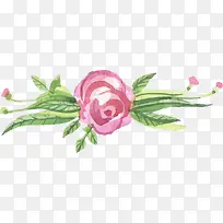 矢量水彩花-空若网 矢量水彩花-空若网