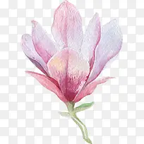 ˮ������-������