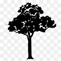 树木动画剪贴画-椰子树-空若网 树木动画剪贴画-椰子树-空若网