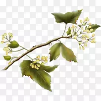 СÄñ×ÀÃæ±ÚÖ½¼ÐÒÕÊõ·ÉÄñ-¿ÕÈôÍø СÄñ×ÀÃæ±ÚÖ½¼ÐÒÕÊõ·ÉÄñ-¿ÕÈôÍø