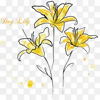 花朵png矢量素材-空若网 花朵png矢量素材-空若网