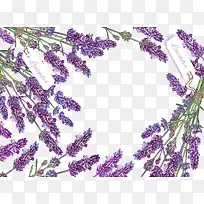 浪漫薰衣草装饰框-空若网 浪漫薰衣草装饰框-空若网