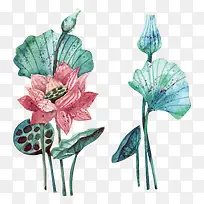 矢量手绘荷花素材-空若网 矢量手绘荷花素材-空若网