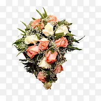鲜花素材植物花卉素材-空若网 鲜花素材植物花卉素材-空若网