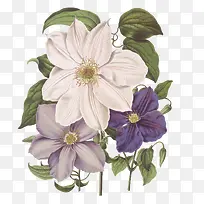 �ʻ������ز��ʻ�psd�ز�-������