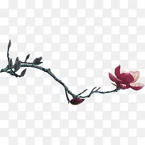 树枝花朵素材-空若网 树枝花朵素材-空若网