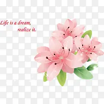 花朵png矢量素材-空若网 花朵png矢量素材-空若网