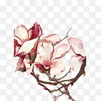 ˮ�ʻ�-������