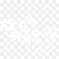 白色矢量花瓣素材-空若网 白色矢量花瓣素材-空若网