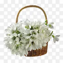 花篮png素材-空若网 花篮png素材-空若网