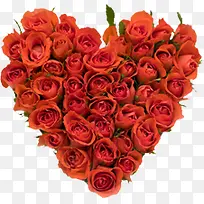 爱心红色绽放玫瑰-空若网 爱心红色绽放玫瑰-空若网