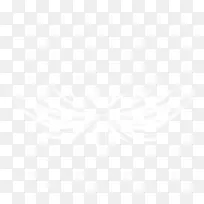 白色翅膀-空若网 白色翅膀-空若网