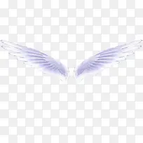 ��ɫ���-������