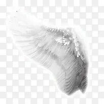 ���-������