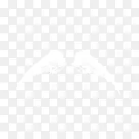 白色翅膀-空若网 白色翅膀-空若网