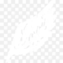 白色翅膀-空若网 白色翅膀-空若网