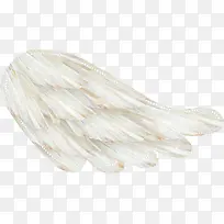 漂亮翅膀-空若网 漂亮翅膀-空若网