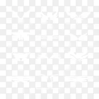 翅膀-空若网 翅膀-空若网