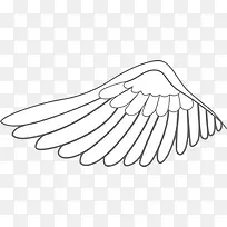 ��ɫ���-������