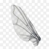 ���-������