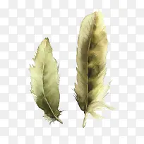 ˮ����ë-������